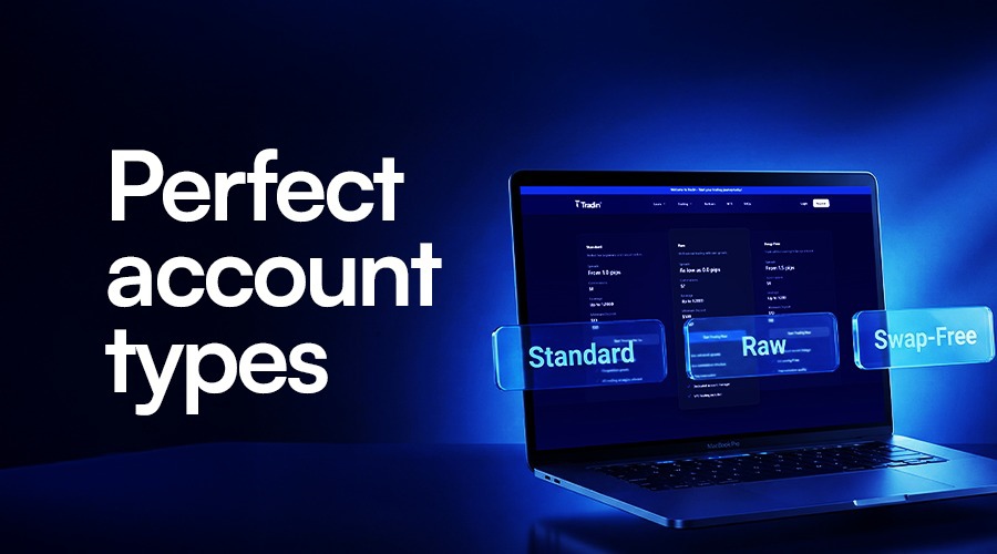 Tradin account types